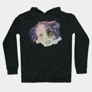 cute border collie puppy Hoodie